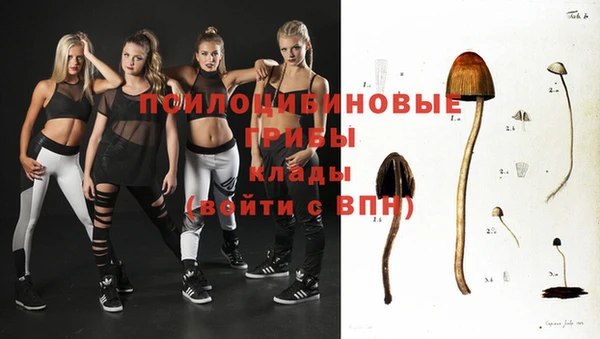 стаф Новодвинск