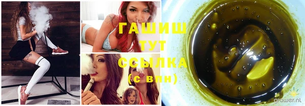 стаф Новодвинск