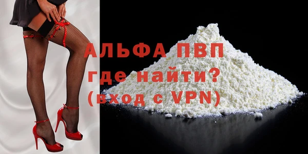 СК Новозыбков