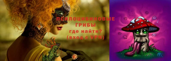 шишки Новокубанск
