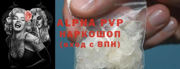 стаф Новодвинск
