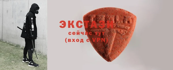СК Новозыбков