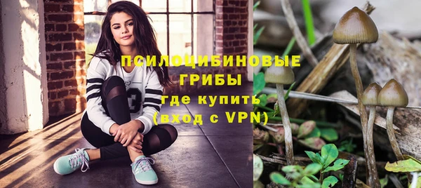 СК Новозыбков