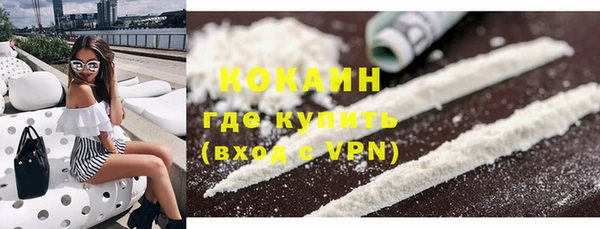 стаф Новодвинск