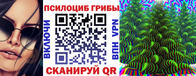 MEGA как зайти  Шелехов  Псилоцибиновые грибы Psilocybine cubensis 